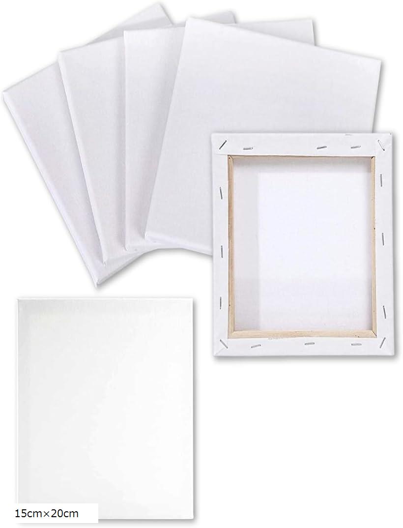 楽天市場】ミニキャンバス 画材 絵画 水彩画 油絵 6個 セット