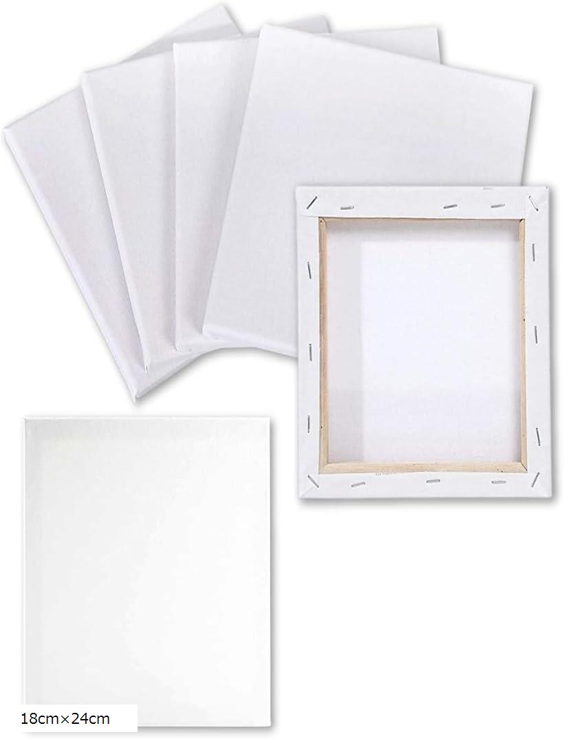 楽天市場】ミニキャンバス 画材 絵画 水彩画 油絵 6個 セット