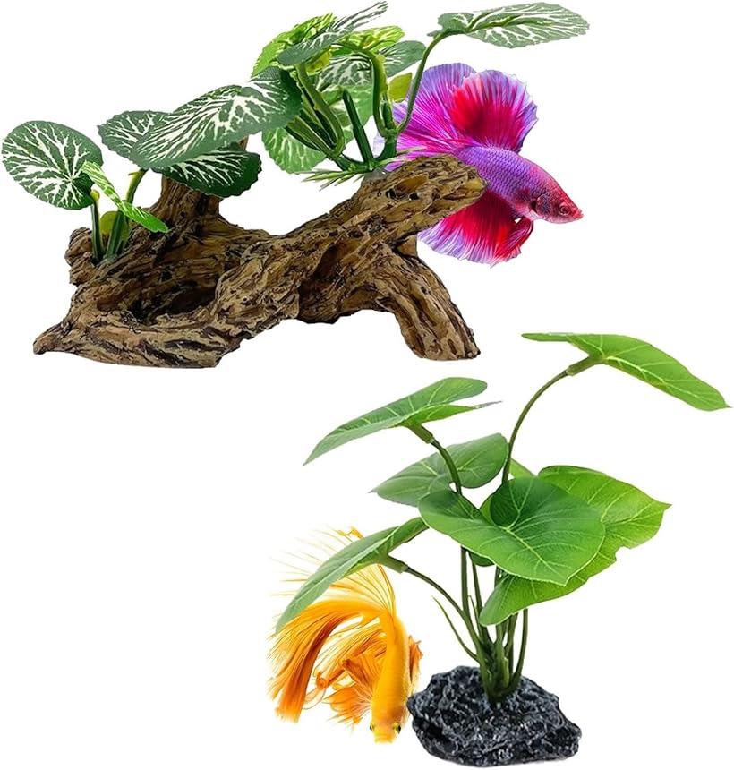 【大型 多孔 流木セット A&B】水草レイアウト用 ADAview] 多種多様な水草で表現した流木凹型構図 - YouTube