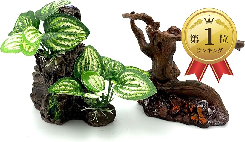 楽天市場】【楽天ランキング1位入賞】爬虫類 登り木 枝 葉 流木