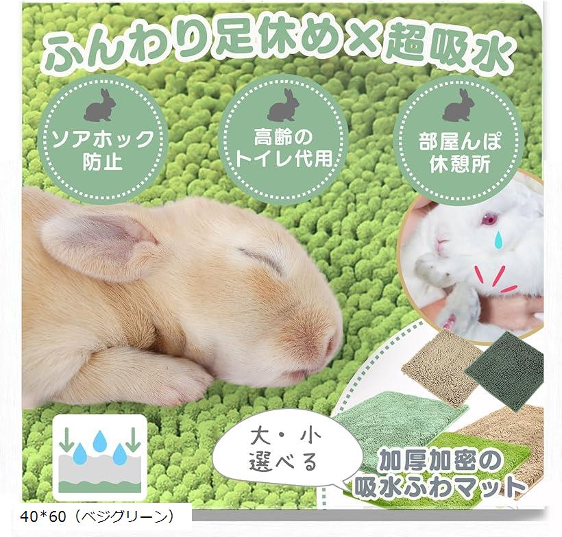 うさぎ 2b949duqnv_0.jpg