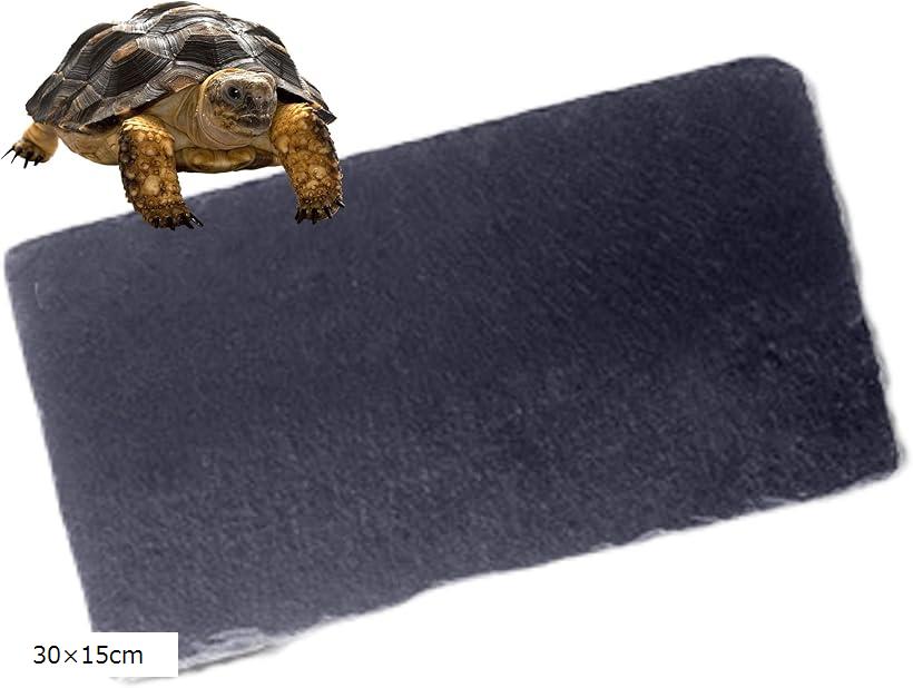 石亀屋 2b9hfntrvv_0.jpg