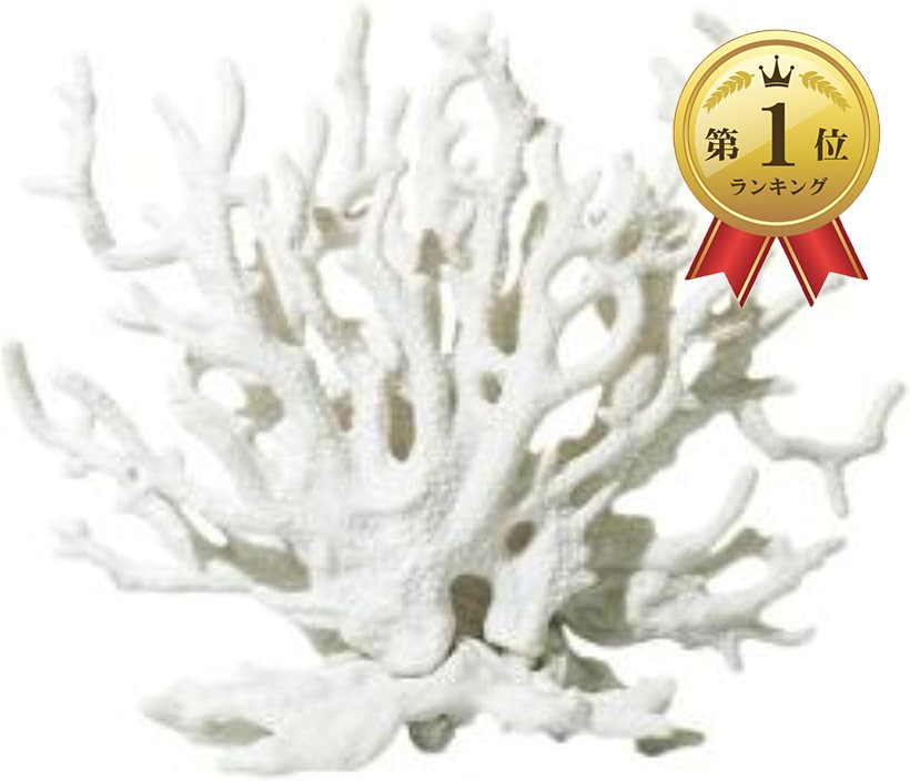 楽天市場】サンゴ 珊瑚 礁 アクアリウム 水槽オブジェ 人工珊瑚