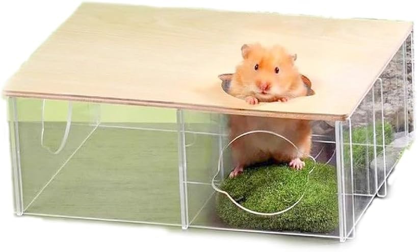 楽天市場】ハムスター ハウス 大きい 覗ける 透明 (クリア, 長さ28.2cm