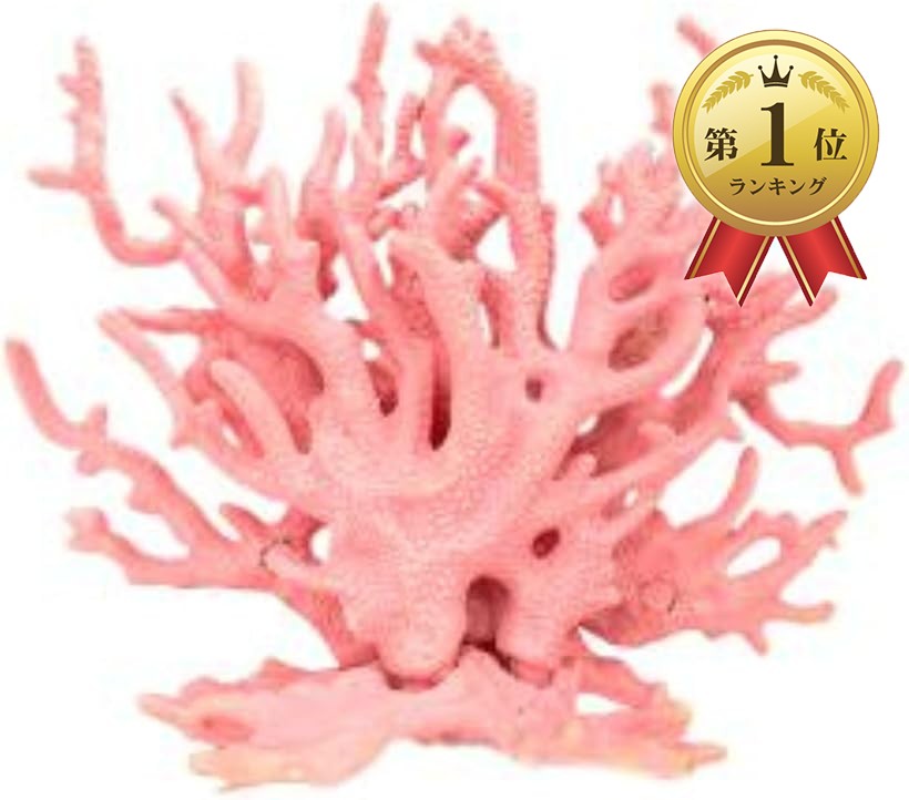 楽天市場】サンゴ 珊瑚 礁 アクアリウム 水槽オブジェ 人工珊瑚