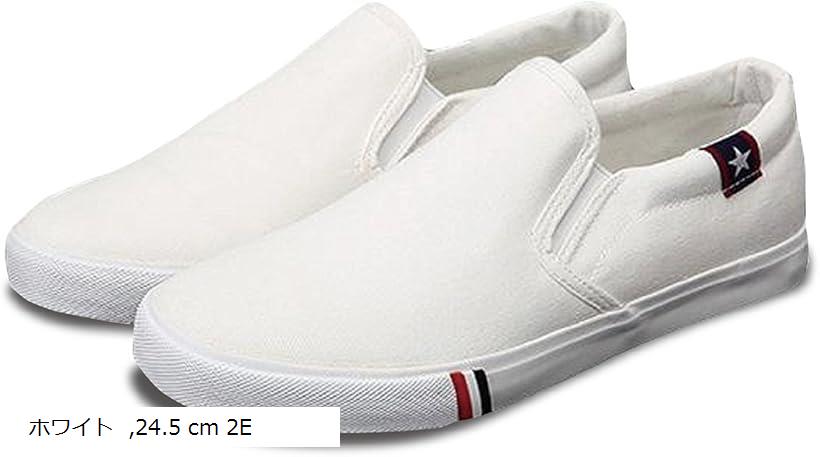 楽天市場 カエナリエ メンズ レディース スリッポン デッキシューズ 黒 白 キャンバス カジュアル スニーカー 男女 44 27 0 ホワイト 27 0 Cm 3e Ohstore
