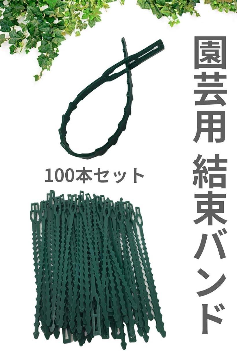 メーカー在庫限り品 結束バンド 繰り返し使える リピートタイ 園芸用 ガーデニング 支柱 苗木 固定 100本セット zortex.ca