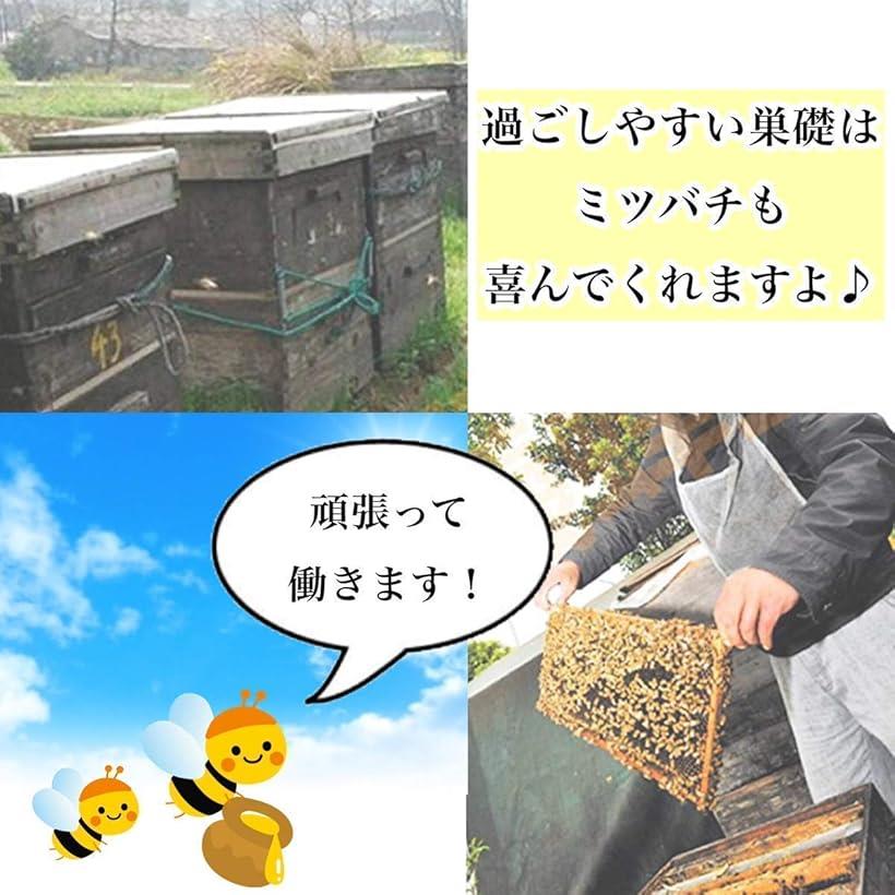 別倉庫からの配送 蜂の巣 蜜蜂 ミツバチ用 飼育 シート 巣礎 養蜂 ハニカム 蜜蝋 採蜜 天然 ３０枚 黄色 M  whitesforracialequity.org