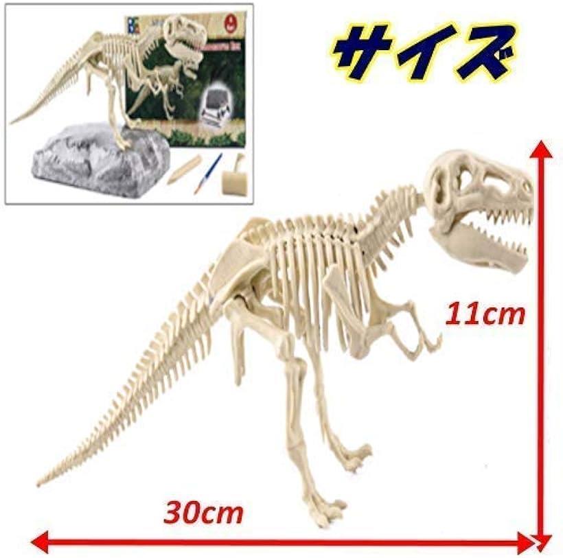 楽天市場 恐竜 化石 発掘 おもちゃ キット ティラノサウルス マンモス 知育 知的 興味 子供用 景品 ギフト プレゼント に Ohstore