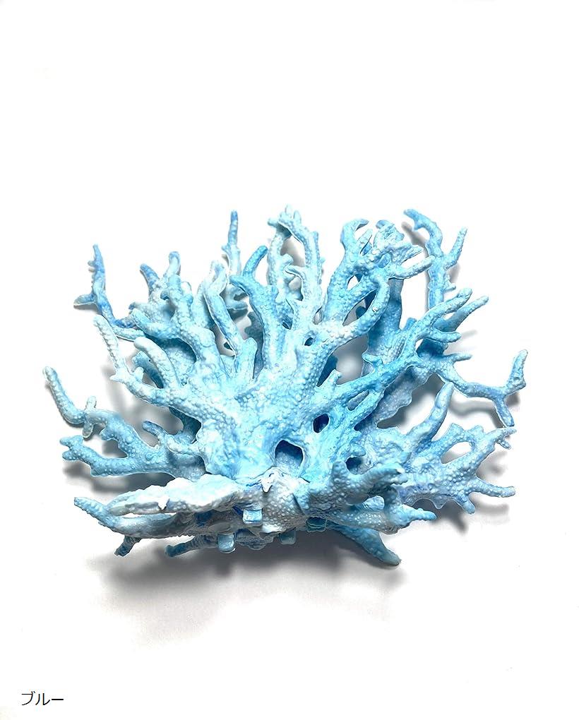 楽天市場】オブジェ インテリア サンゴ 珊瑚 さんご コーラル レッド