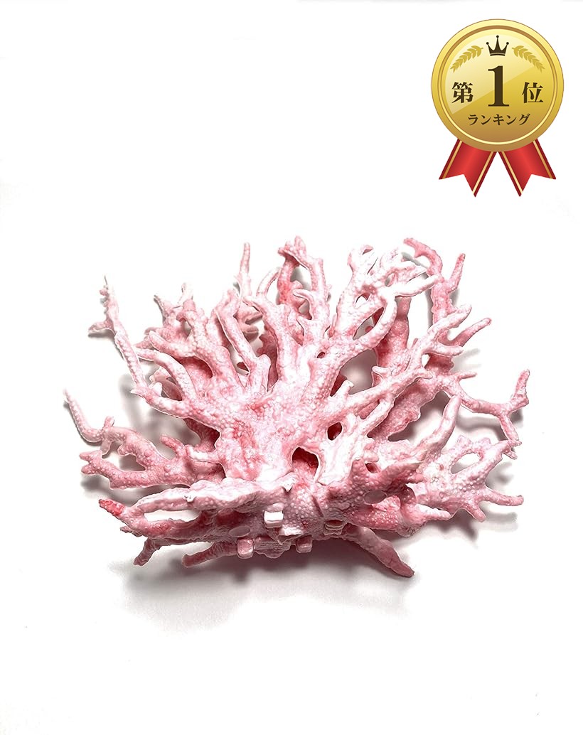 楽天市場】オブジェ インテリア サンゴ 珊瑚 さんご コーラル レッド
