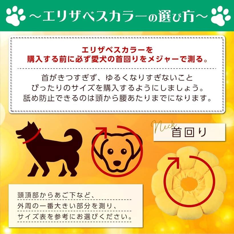 市場 エリザベスカラー 爪切り 猫 服 傷口保護 犬