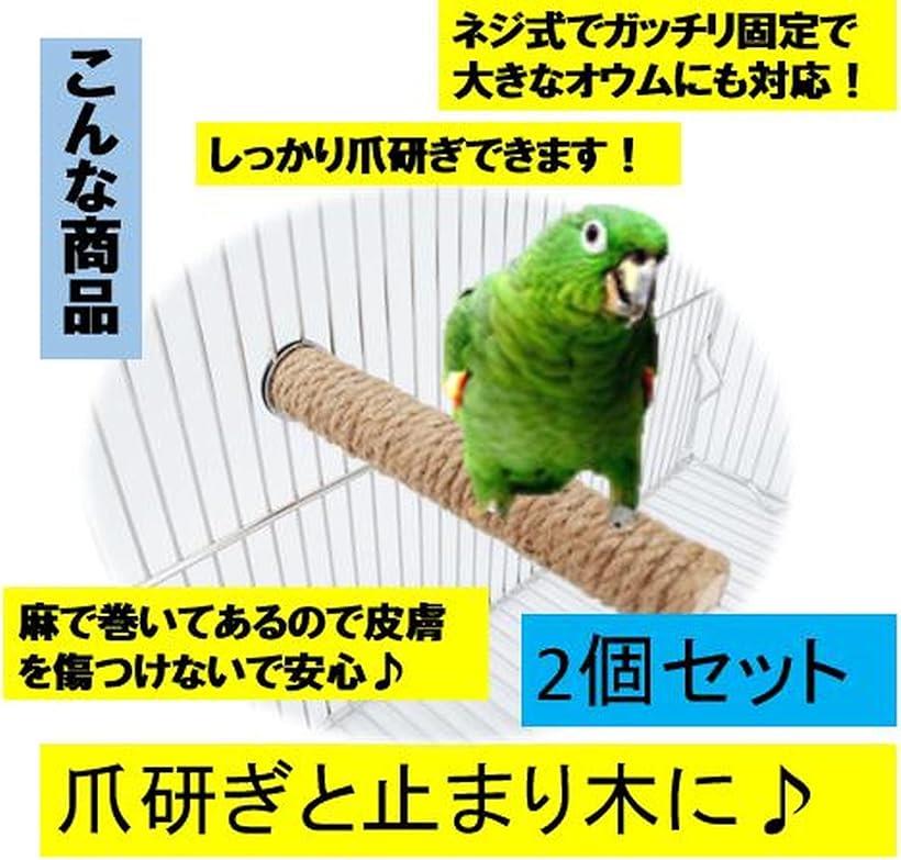 サンドパーチ つめ研ぎ 止まり木 2本セット 鳥 オウム モモンガ リス