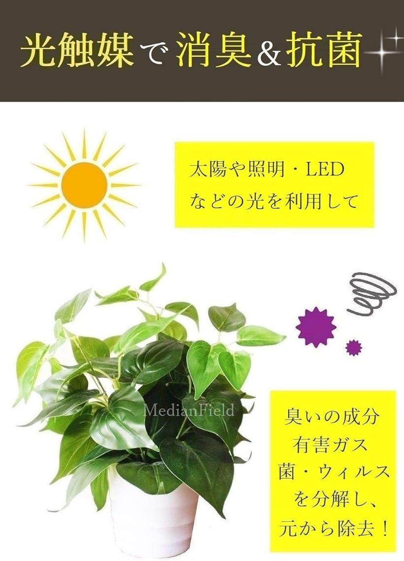 新着商品 光触媒 人工観葉植物 インテリアグリーン 消臭 造花 おしゃれ グリーン フェイクグリーン 人工植物 観葉植物 植物 高さ180cm フェイク インテリア 大型 シェフレラ1 8 抗菌 防汚 人工 光触媒加工 北欧 玄関 リビング 引っ越し祝い 開店祝い オフィス 母の日