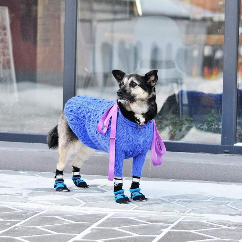 当店は最高な サービスを提供します 犬 用 靴下 肉球保護 ソックス 調整 滑り止め 付き S Mdm ブルー Abamedyc Com 当店は最高な サービスを提供します 犬 用 靴下 肉球保護 ソックス 調整 滑り止め 付き S Mdm ブルー Abamedyc Com