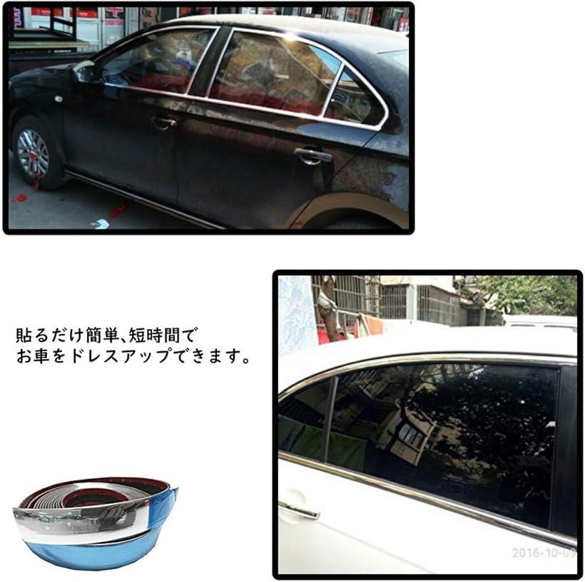 車用 アクセント メッキ モール シルバー テープ ドレスアップ 汎用 カー用品 幅6 Mm 長さ3 Mdm 銀 幅6 Mm 長さ3 M Giosenglish Com