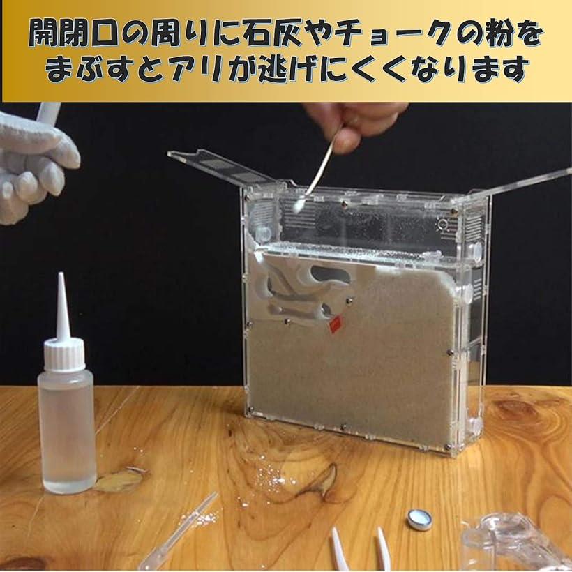 アリの巣観察キット 自由研究 飼育ケース 昆虫採集セット