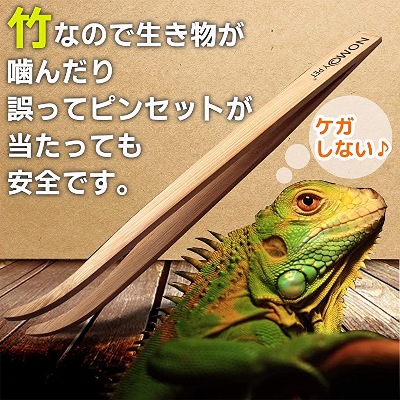 楽天市場 爬虫類用 ピンセット 餌やり トカゲ カエル 飼育 掃除 竹製 ペット 両生類 16 5cm 3個セット Ohstore