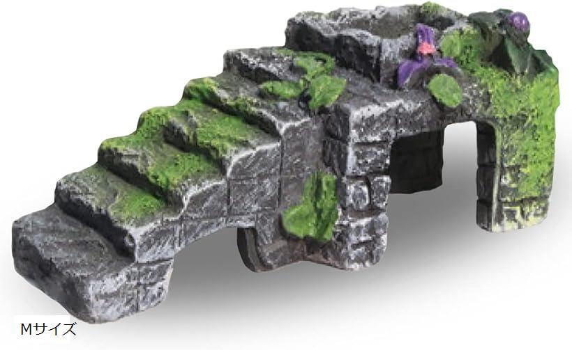 楽天市場】爬虫類 シェルター 隠れ家 水槽 亀 飼育 階段 台