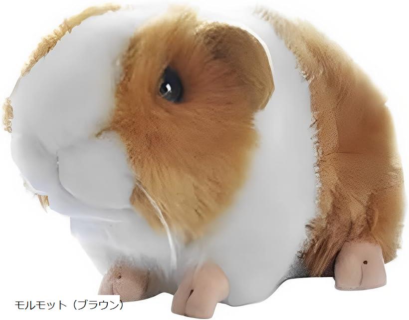 モルモット ぬいぐるみ 5体セット 31B7uJDXuUL.jpg_BO30,255,255,