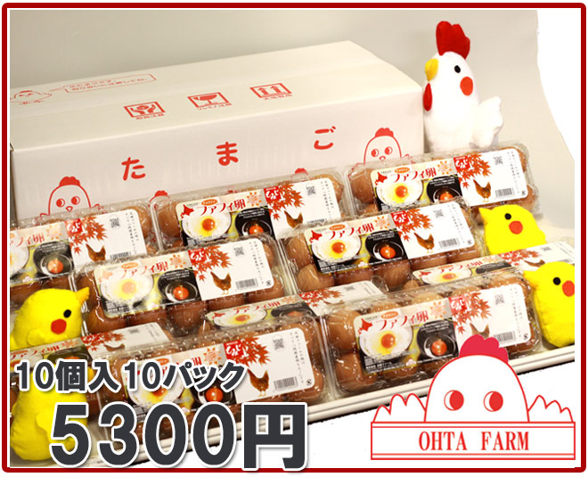 【北海道産】<br>【チャリティーファフィ卵10個入10パック】生卵/たまごかけご飯/濃厚な卵