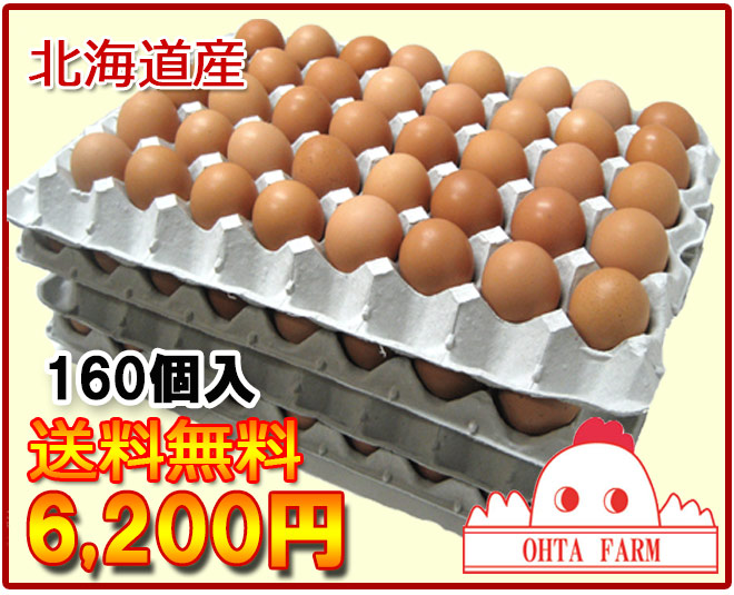 【送料無料・特別価格】【北海道産】<br>ココットレッド160個入Lサイズ【楽ギフ_のし】【楽ギフ_のし宛書】