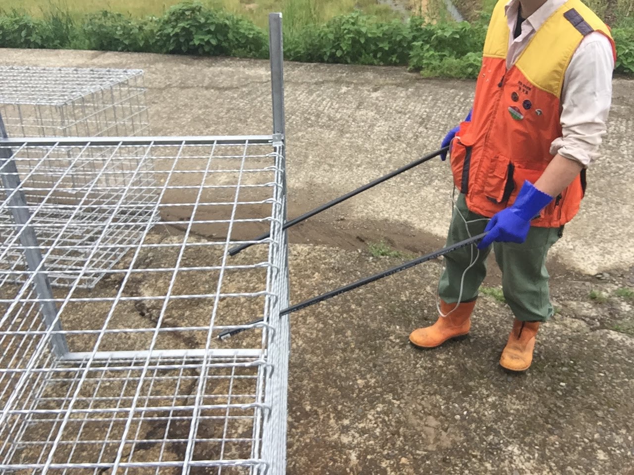 楽天市場 箱罠くくり罠兼用電気止め刺し機 ポータブルバッテリー付き 太田製作所