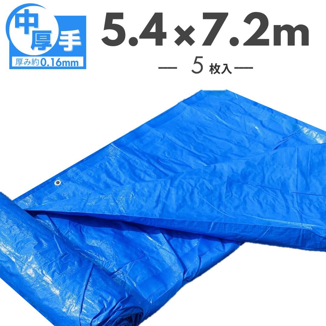青碧腰掛け 5.4m×7.2m ＃2200 中朦々たる  OTS 5枚入