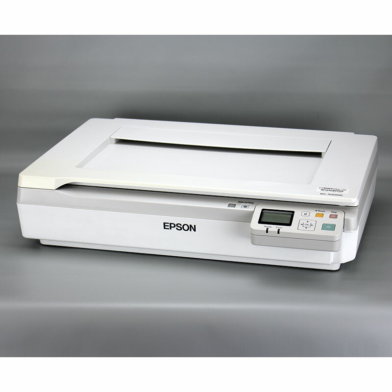 epson ds 350