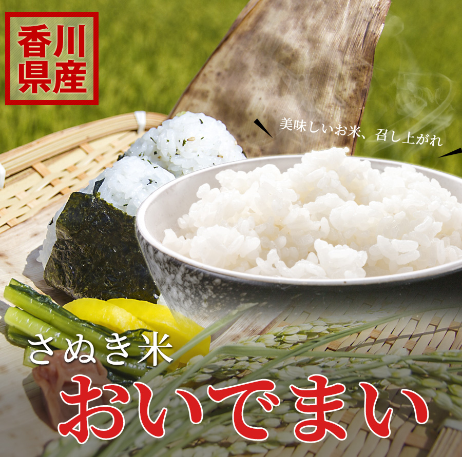 送料込み 令和5年産 高知県産 新米コシヒカリ 玄米25㎏(袋込み) 通販