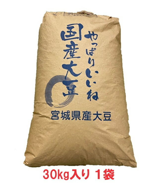 令和3年産 宮城白目大豆 30kg 今季一番