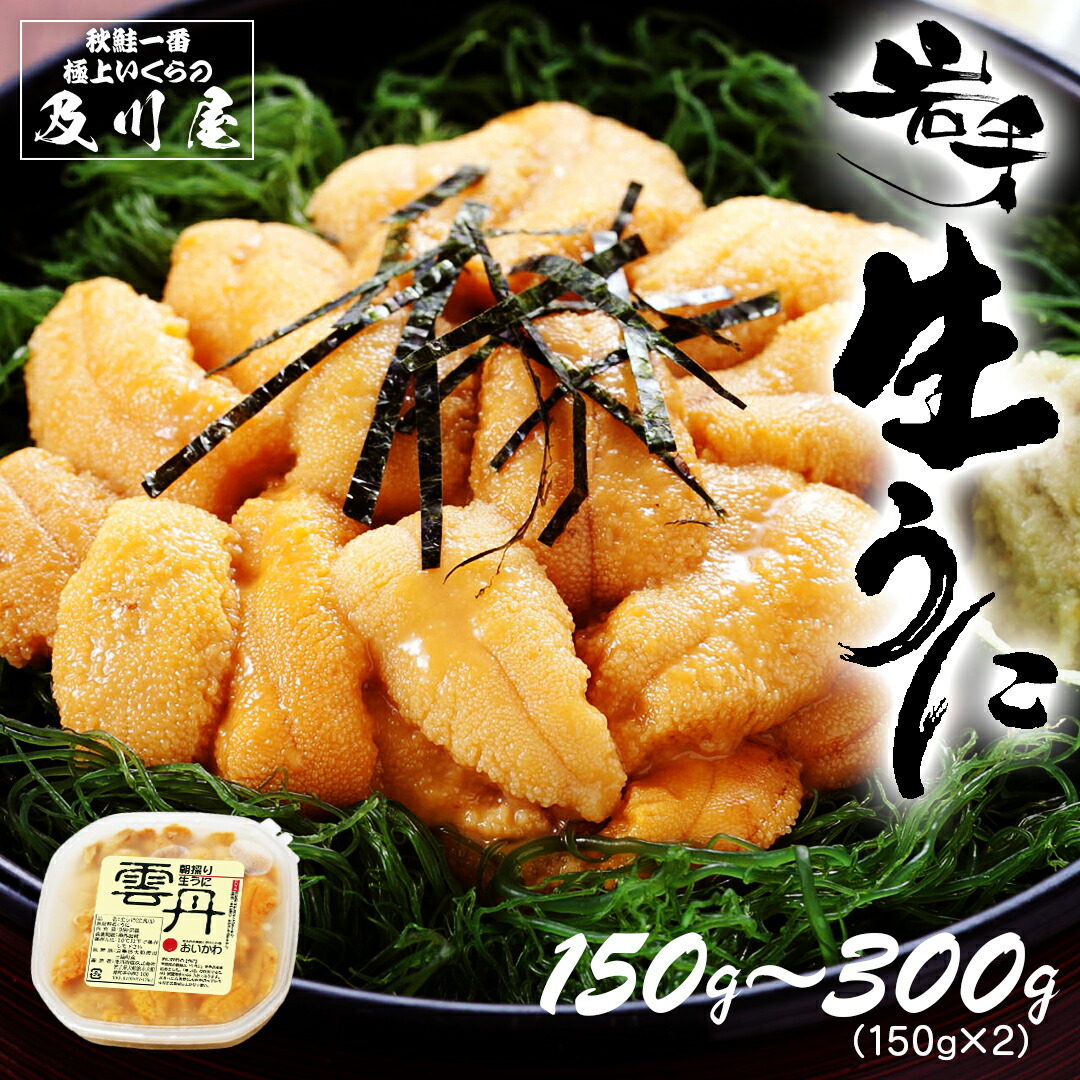 ウニ 塩水うに 【 岩手県産 生うに 300g（150g×2）・150g 】 5月後半以降に発送開始予定 うに 塩水ウニ お取り寄せグルメ ムラサキウニ 雲丹 無添加 天然 国産 岩手 三陸 お中元 御中元 ギフト 送料無料