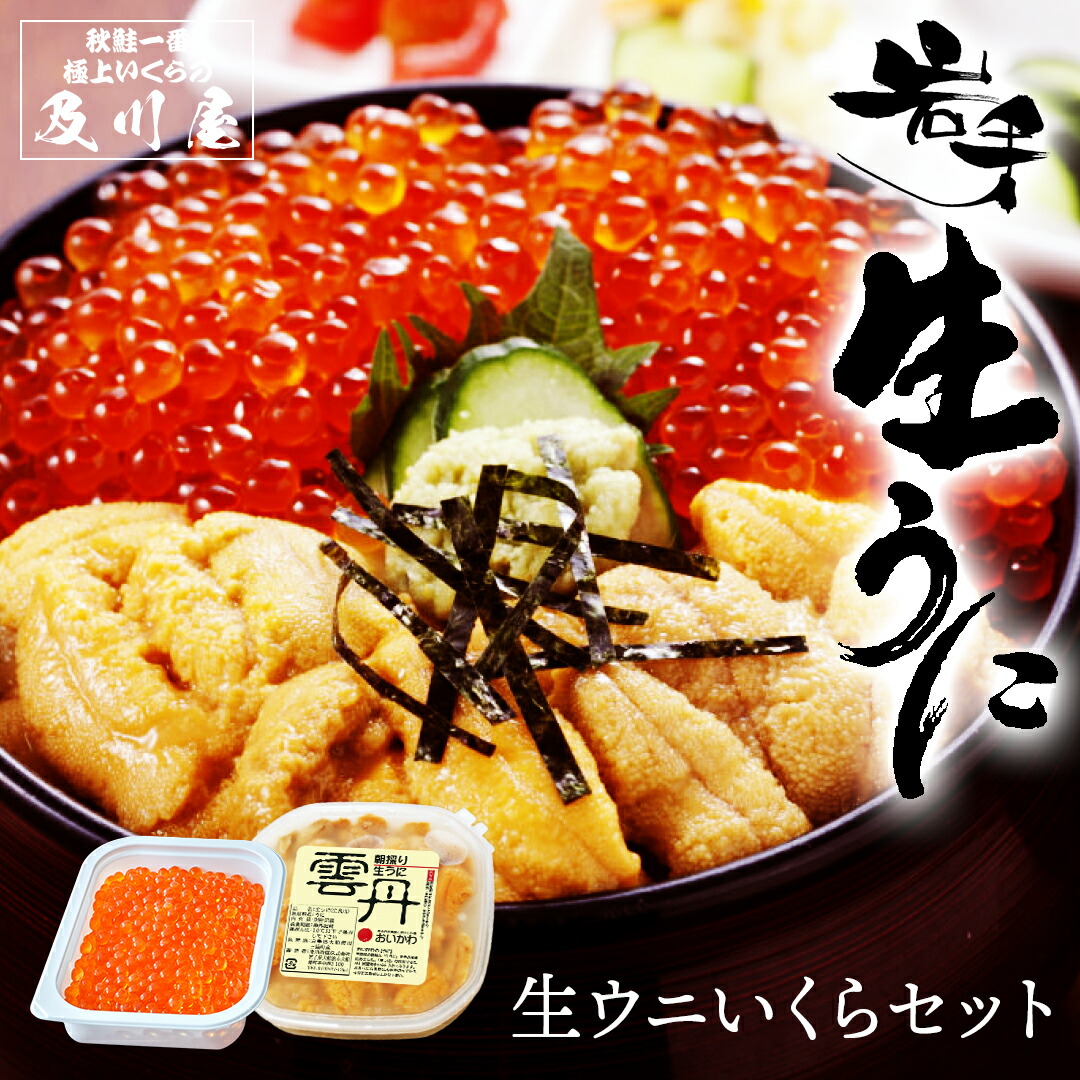うに いくら 塩水うに 【 生ウニいくらセット 】 5月後半以降に発送開始予定 生うに いくら醤油漬け 生うに ウニ 塩水ウニ お取り寄せグルメ ムラサキウニ イクラ醤油漬け 国産 岩手 お中元 御中元 ギフト 送料無料
