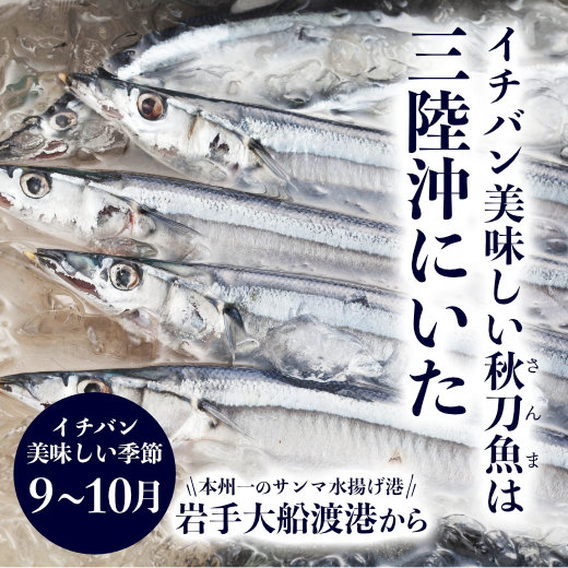 楽天市場 さんま 鮮さんま 生さんま 送料無料 極上 朝獲れさんま 20本入 直送便 サンマ 秋刀魚 お取り寄せグルメ 国産 岩手 大船渡 三陸 ギフト 贈答 グルメ お取り寄せ 産地直送 本州一のさんま水揚げ港 大船渡港から 秋鮭一番 極上 いくら の及川屋