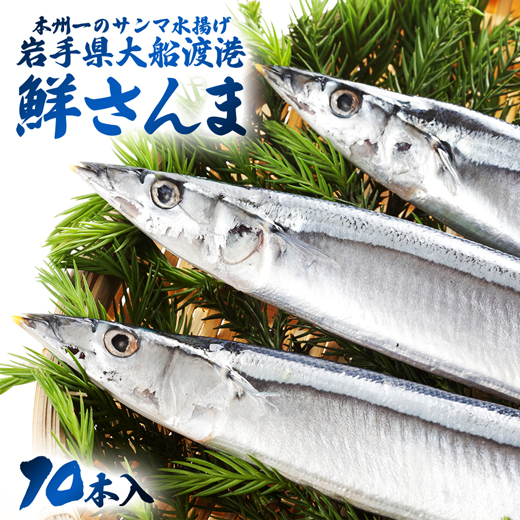 楽天市場 さんま サンマ 生さんま 鮮さんま 10本入 直送便 送料無料 生サンマ 鮮サンマ 秋刀魚 お取り寄せグルメ 国産 岩手 三陸 ギフト 産地直送 秋鮭一番 極上 いくら の及川屋