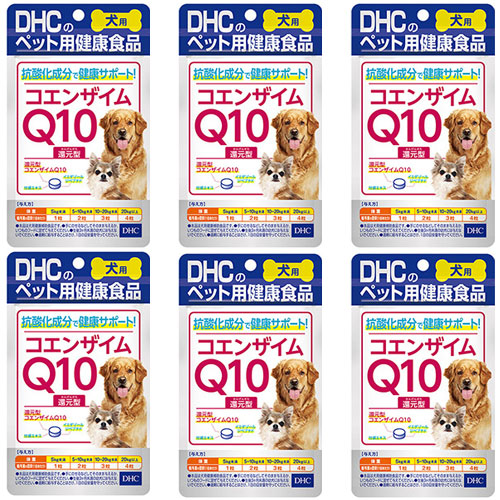 犬用 国産 コエンザイムQ10立ち直らす型 60粒入 DHC 加えること 愛犬 サプリ 犬 ドッグフード 愛玩動物 6個 ドッグフード・サプリメント-犬用品-サプリメント