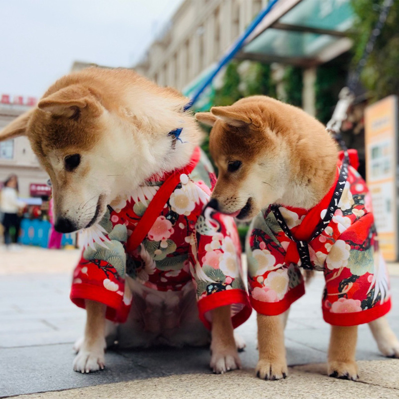 ハロウィン 仮装 可愛い 犬 犬服 ペット服 猫犬兼用 コスプレ 和服