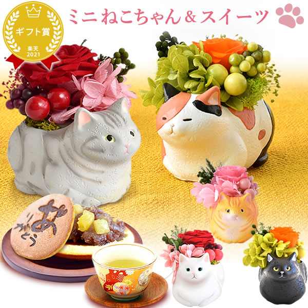 issuncat_kago01b.jpg