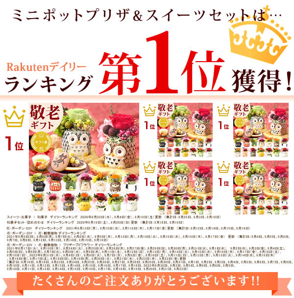 母の日プレゼント花ギフトバラプリザーブドフラワーアレンジメント送料無料スイーツギフトセット動物アニマルふくろう【静岡AA】2