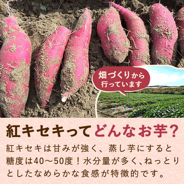 おいもやの二代目干しいも 100g×3袋 400g×1袋 半生タイプ 干し芋 干し