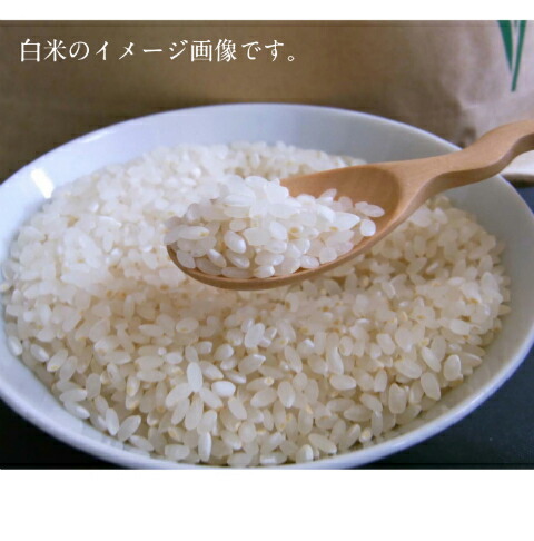 白米10キロ　SH 楽天市場】10t（白米｜米・雑穀）：食品の通販