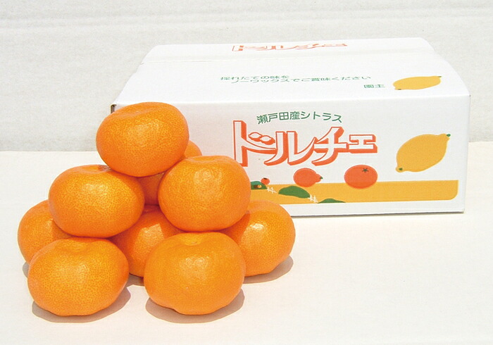 フルーツ・果物 【送料込み企画】広島県瀬戸田町 瀬戸田ドルチェみかん