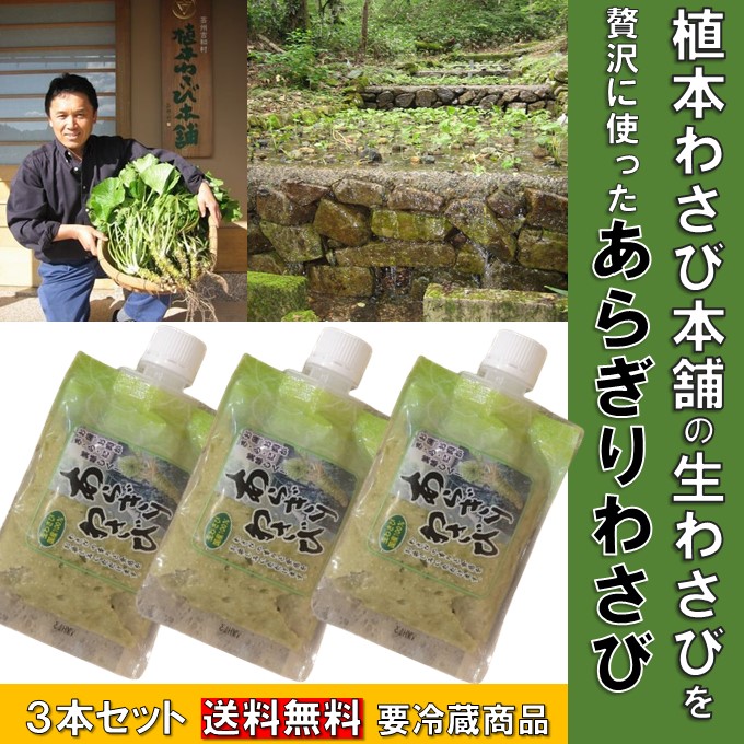 楽天市場】万能調味料 わさび 送料無料 植本わさび 100g 生わさび 100