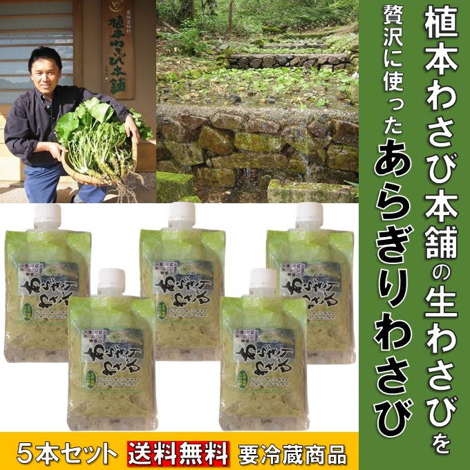 わさび 楽天市場】万能調味料 わさび 送料無料 植本わさび 100g 生わさび 100