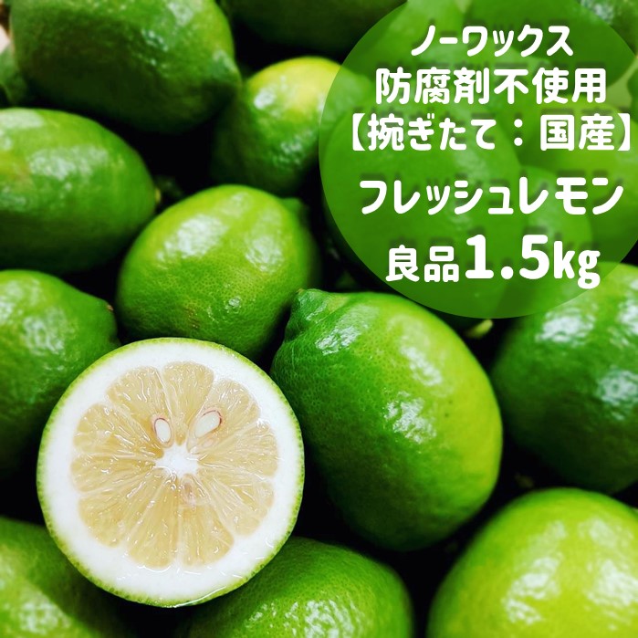 楽天市場】レモン 国産 5kg 送料無料 ＜9月下旬頃より順次出荷