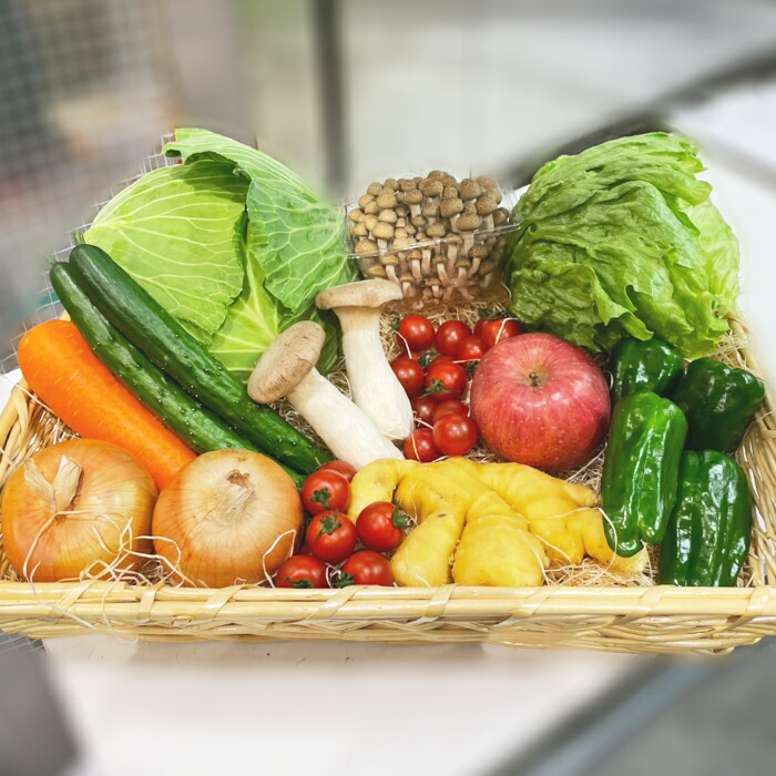 激安激カワ【新品】ビッグサイズめくれる白菜とカリフラワーの野菜祭りセット かわ🐟 on X: 