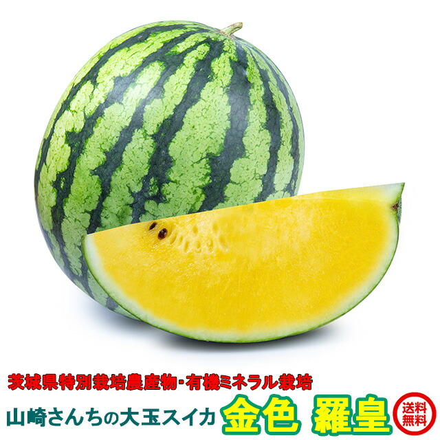 売上実績NO.1 2024-gold-raou1.jpg ミュージシャン