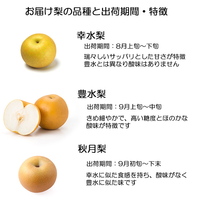 幸水梨 梨 鈴木さんちの完熟 茨城産 常陸野産直センター 送料無料 5kg