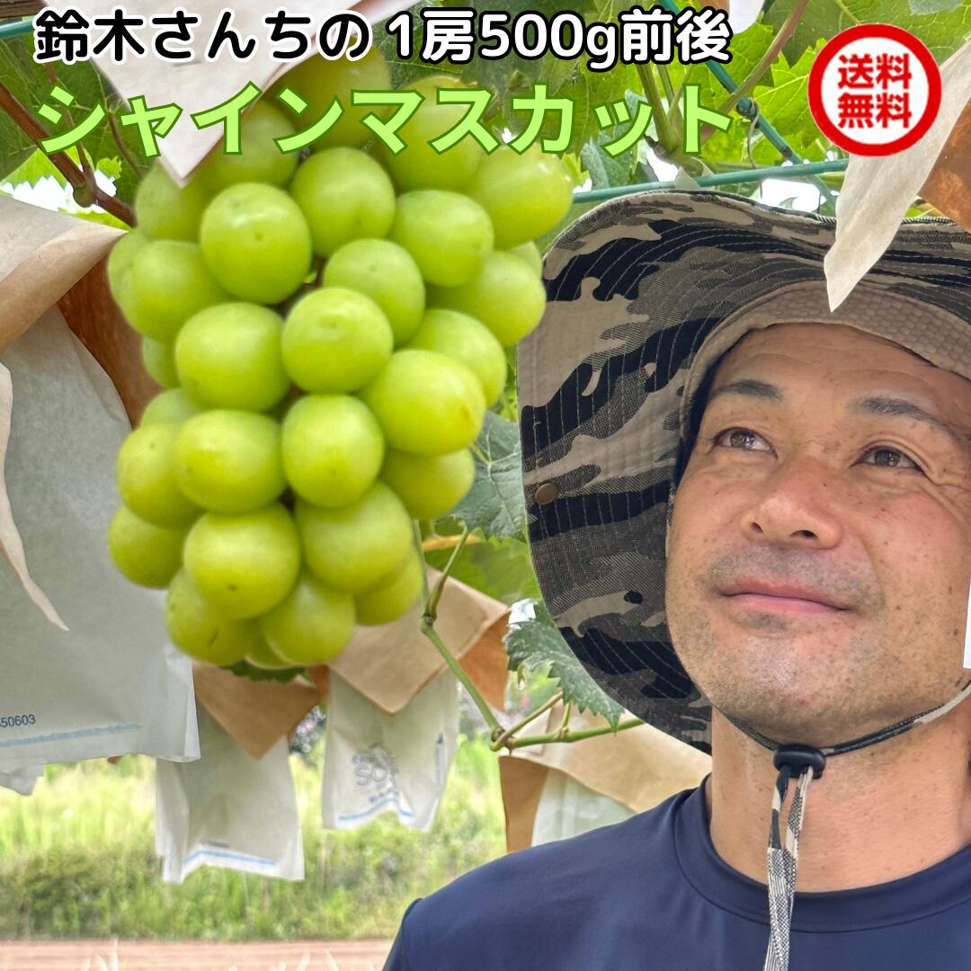 ★パキラ★　秋の味覚、果物、リスさん ☆パキラ様専用☆ 秋の味覚、果物、リスさん - メルカリ