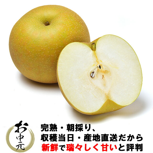 楽天市場】梨 秋月 なし 鈴木さんちの 完熟 秋月梨 (秀) L以上